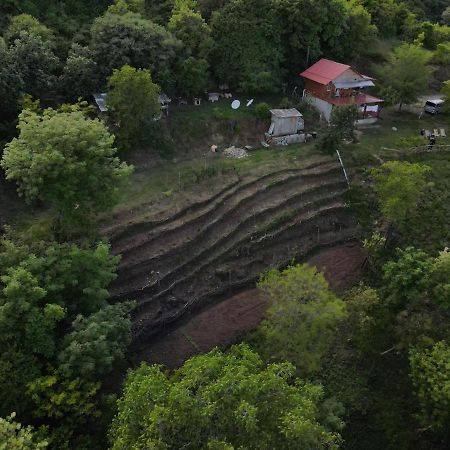 Tsanava'S Cottage In 시그나기 외부 사진