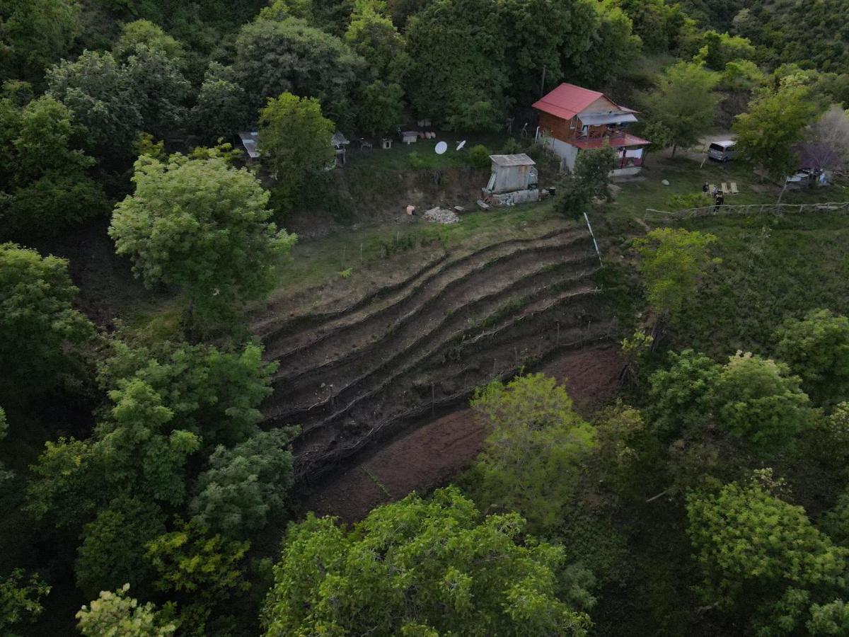 Tsanava'S Cottage In 시그나기 외부 사진