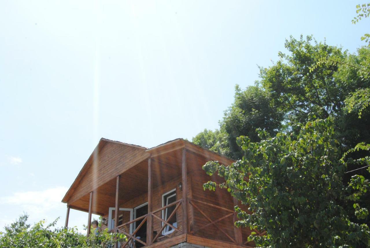 Tsanava'S Cottage In 시그나기 외부 사진